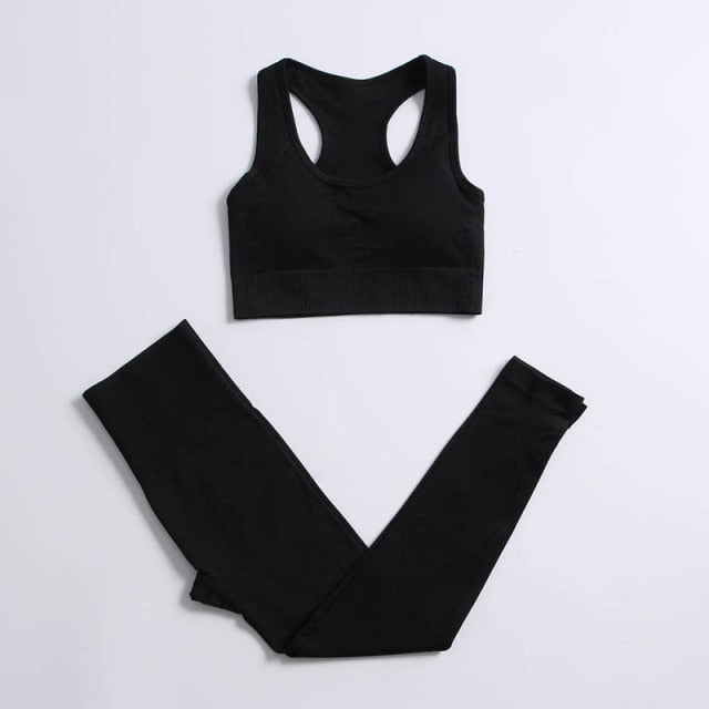 Athletic 2pcs Seamless Yoga Set for Women - FabFemina