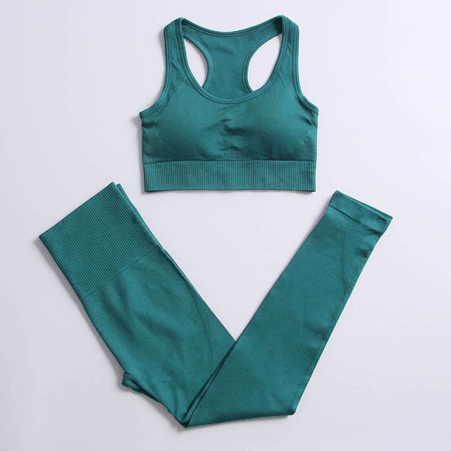 Athletic 2pcs Seamless Yoga Set for Women - FabFemina