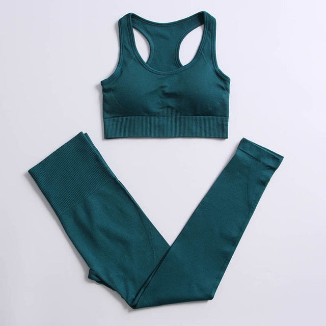 Athletic 2pcs Seamless Yoga Set for Women - FabFemina