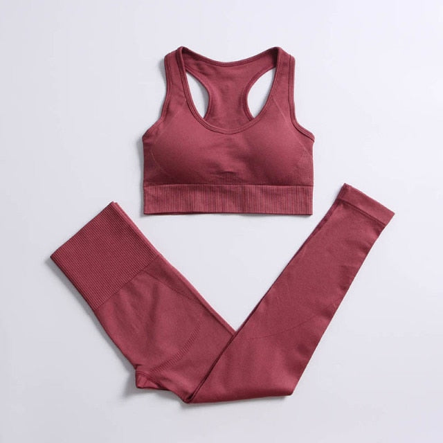 Athletic 2pcs Seamless Yoga Set for Women - FabFemina