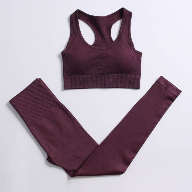 Athletic 2pcs Seamless Yoga Set for Women - FabFemina