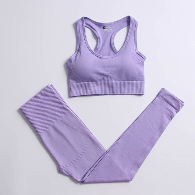 Athletic 2pcs Seamless Yoga Set for Women - FabFemina