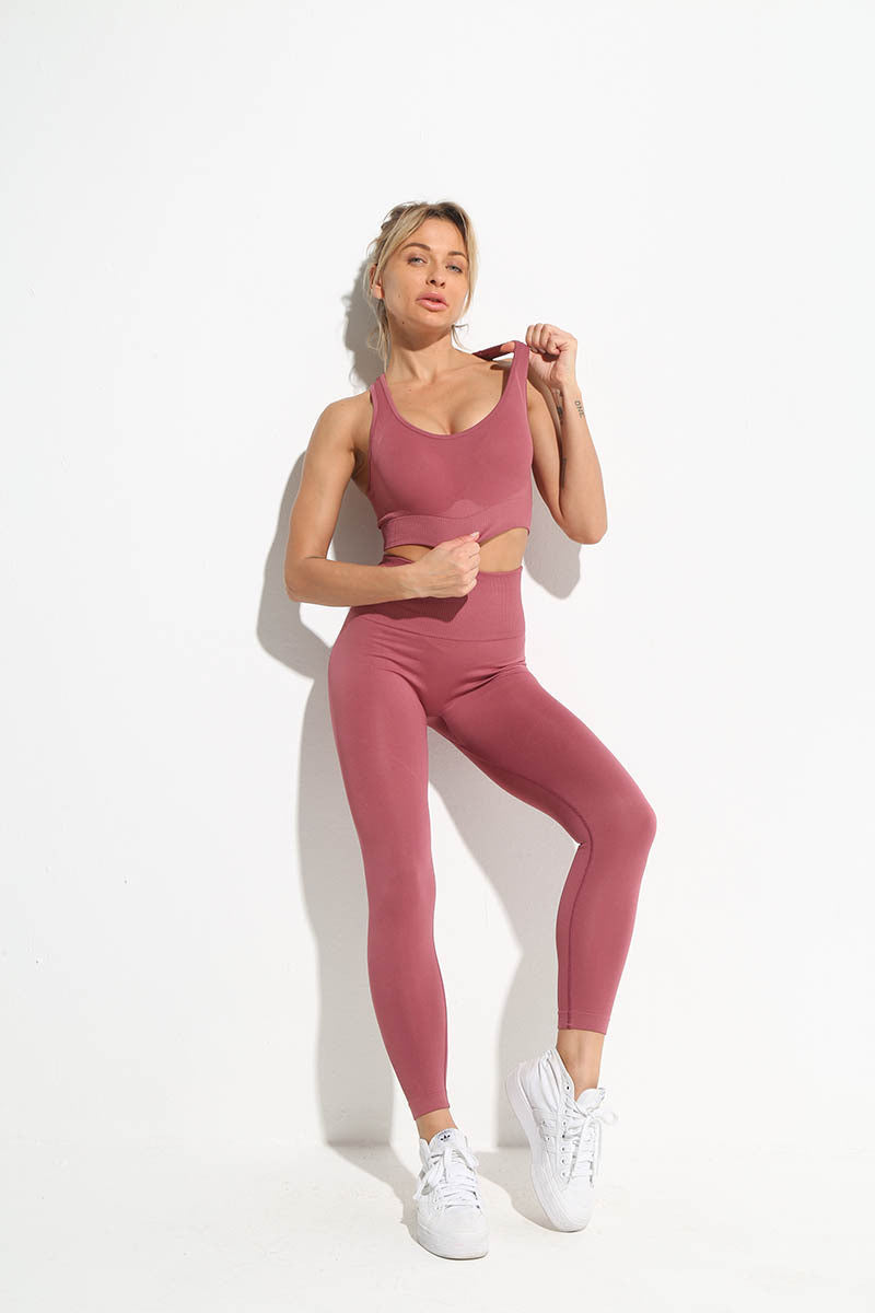 Athletic 2pcs Seamless Yoga Set for Women - FabFemina