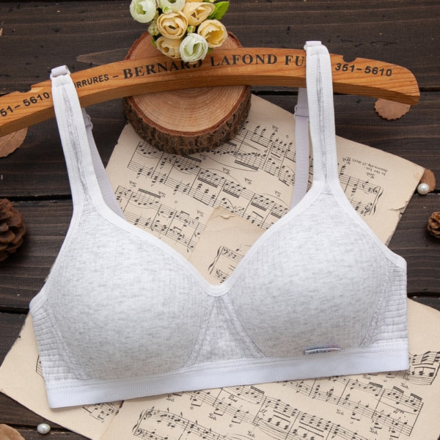 Seamless Vest T-shirt Bra - FabFemina